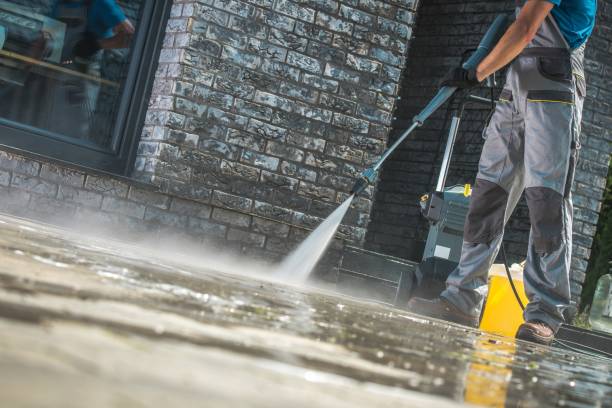 Pre-Holiday Cleaning in Elfers, FL