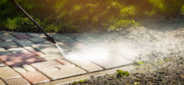 Best Roof Washing  in Elfers, FL