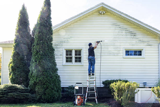 Best Spring Cleaning  in Elfers, FL